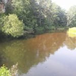 50 arų sklypas su Merkio upės pakrante Senojoje Varėnoje – nuotrauka 5
