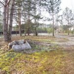 14 arų namų valdos sklypas Varėnos m., Mitriškių g. 22A – nuotrauka 2