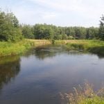 50 arų sklypas su Merkio upės pakrante Senojoje Varėnoje – nuotrauka 6