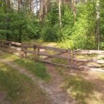 50 arų sklypas su Merkio upės pakrante Senojoje Varėnoje – nuotrauka 2