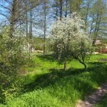 Namas Senosios Varėnos kaime su 0.0657 ha. sklypu – nuotrauka 7