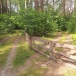 50 arų sklypas su Merkio upės pakrante Senojoje Varėnoje – nuotrauka 3