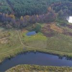 35 arų žemės sklypas šalia Merkio upės – nuotrauka 10