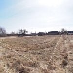 Parduodama sodyba Rakų kaime su 33 arų sklypu – nuotrauka 14
