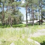 Parduodamas komercinis sklypas su patalpomis Varėnos m. – nuotrauka 17