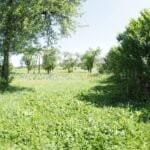 Parduodama sodyba prie Vydenių tvenkinio – nuotrauka 19