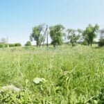 Parduodama sodyba prie Vydenių tvenkinio – nuotrauka 20