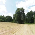 Parduodama sodyba Varėnos r. sav., Pamusių k. – nuotrauka 25