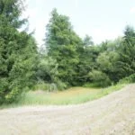 Parduodama sodyba Varėnos r. sav., Pamusių k. – nuotrauka 8