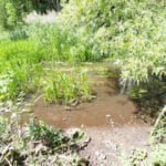Parduodama sodyba Varėnos r. sav., Pamusių k. – nuotrauka 9