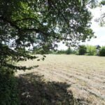 Parduodama sodyba Varėnos r. sav., Pamusių k. – nuotrauka 14