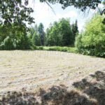 Parduodama sodyba Varėnos r. sav., Pamusių k. – nuotrauka 15