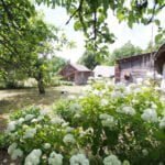 Parduodama sodyba Varėnos r. sav., Pamusių k. – nuotrauka 21