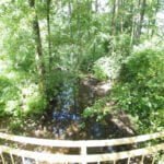 Parduodama sodyba Varėnos r. sav., Pamusių k. – nuotrauka 26