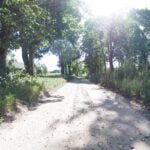Parduodami sklypai Dubaklonio 2 kaime, Varėnos rajone – nuotrauka 16
