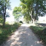 Parduodami sklypai Dubaklonio 2 kaime, Varėnos rajone – nuotrauka 17