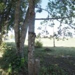 Parduodami sklypai Dubaklonio 2 kaime, Varėnos rajone – nuotrauka 18