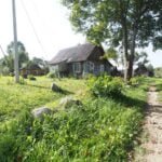 Parduodama sodyba Varėnos r. sav., Noškūnų k. – nuotrauka 13