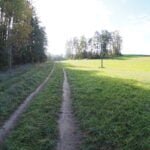 Parduodamas sklypas Varėnos rajone, Krūminių kaime – nuotrauka 17