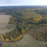 Parduodamas sklypas Varėnos r. sav., Juočių k., žemės ūkio paskirties sklypas – nuotrauka 14