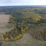Parduodamas sklypas Varėnos r. sav., Juočių k., žemės ūkio paskirties sklypas – nuotrauka 14