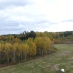 Parduodamas sklypas Varėnos r. sav., Juočių k., žemės ūkio paskirties sklypas – nuotrauka 16
