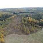 Parduodamas sklypas Varėnos r. sav., Juočių k., žemės ūkio paskirties sklypas – nuotrauka 2