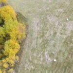 Parduodamas sklypas Varėnos r. sav., Juočių k., žemės ūkio paskirties sklypas – nuotrauka 3