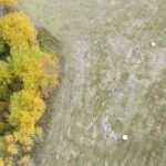 Parduodamas sklypas Varėnos r. sav., Juočių k., žemės ūkio paskirties sklypas – nuotrauka 3
