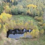 Parduodamas sklypas Varėnos r. sav., Juočių k., žemės ūkio paskirties sklypas – nuotrauka 5