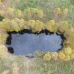 Parduodamas sklypas Varėnos r. sav., Juočių k., žemės ūkio paskirties sklypas – nuotrauka 6