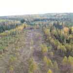Parduodamas sklypas Varėnos r. sav., Juočių k., žemės ūkio paskirties sklypas – nuotrauka 8