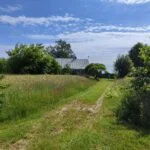 Parduodama sodyba – vienkiemis Geidukonių kaime – nuotrauka 24