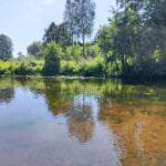 Parduodamas namų valdos sklypas su gyvenamuoju namu prie Varėnės upės, Senoji Varėna – nuotrauka 38