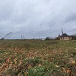 Parduoda sodybą Panočių k., Varėnos rajone – nuotrauka 14