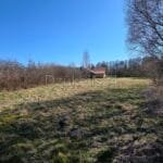 PARDUODAMA IŠSKIRTINĖ SODYBA – KRŪMINIŲ KAIME – nuotrauka 8