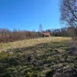 PARDUODAMA IŠSKIRTINĖ SODYBA – KRŪMINIŲ KAIME – nuotrauka 8