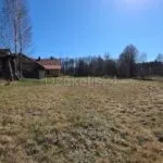 PARDUODAMA IŠSKIRTINĖ SODYBA – KRŪMINIŲ KAIME – nuotrauka 12