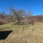 PARDUODAMA IŠSKIRTINĖ SODYBA – KRŪMINIŲ KAIME – nuotrauka 16