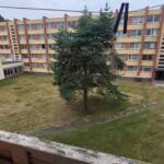 Parduodamas 1 kambario butas (kambarys bendrabutyje), J. Basanavičiaus g. 1A-304, Varėna – nuotrauka 28