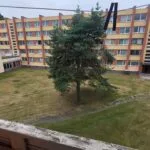 Parduodamas 1 kambario butas (kambarys bendrabutyje), J. Basanavičiaus g. 1A-304, Varėna – nuotrauka 28